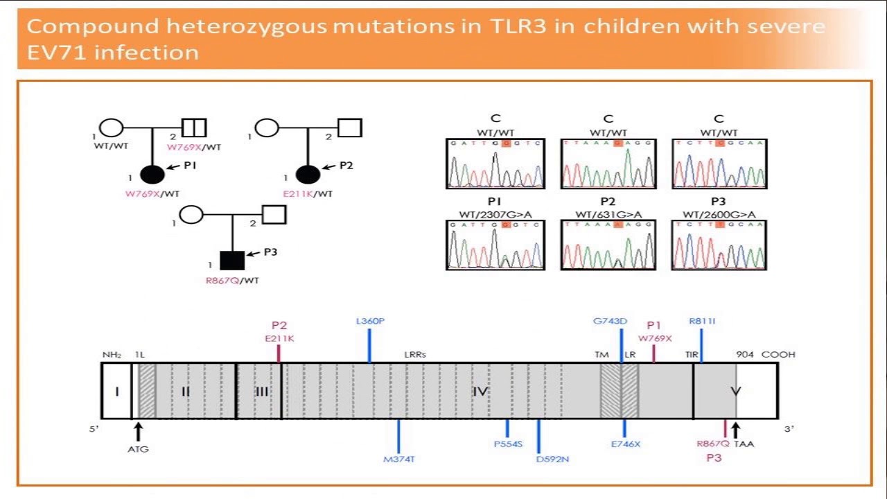 Lessons Learned: 20th Anniversary of Enterovirus A71 Epidemic of 1998 in Taiwan