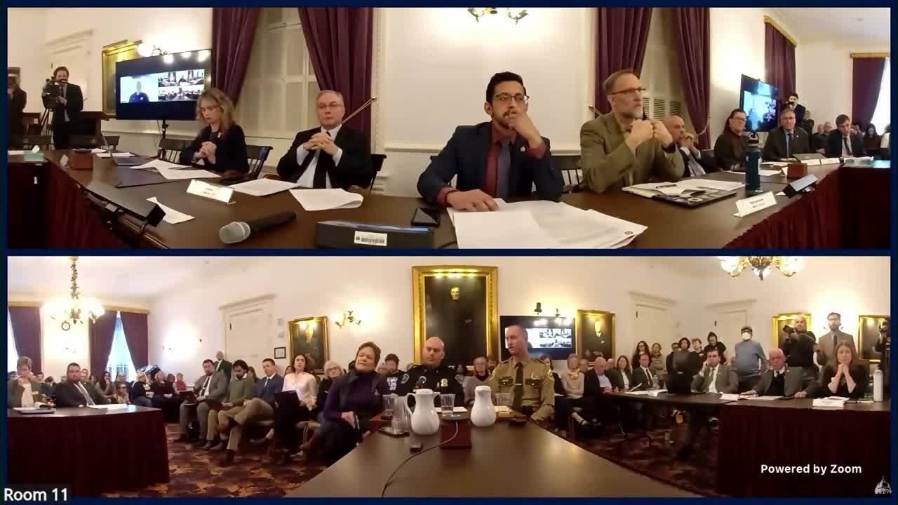 Vermont Senate Judiciary Hearing on ICE activity in South Burlington
