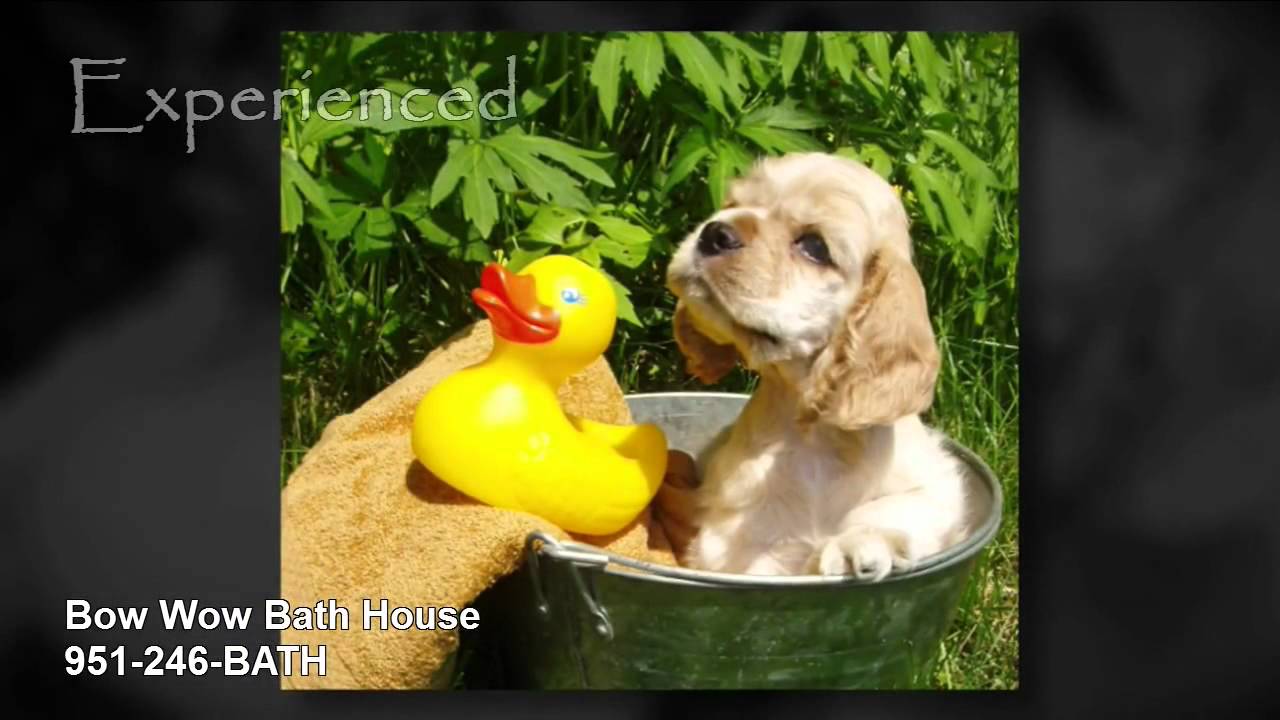 Bow Wow Bath House 951-246-BATH