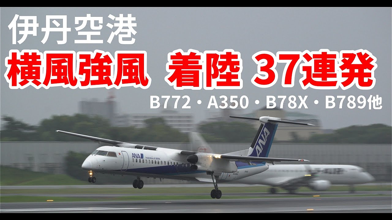 【伊丹空港】 強風横風のなか冷静に着陸するパイロット達 B772・A350・B78X・B789他 plane spotting