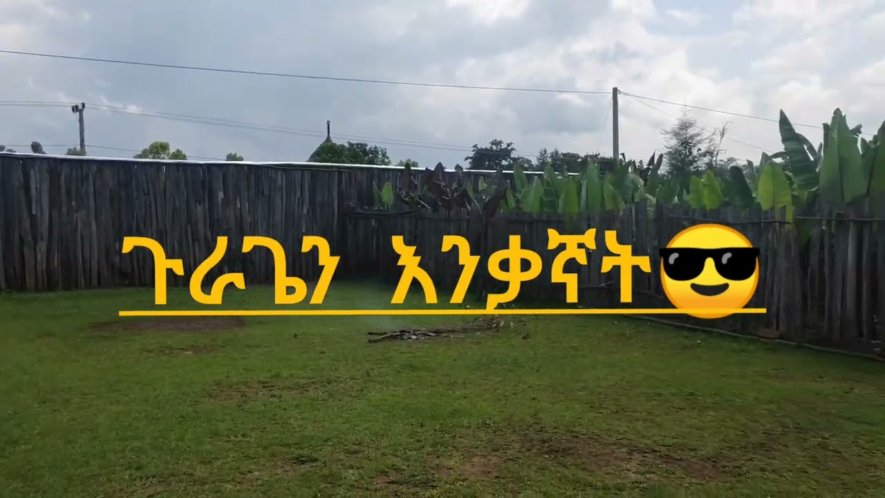 @SandelTube  Ethio gurage culture fest