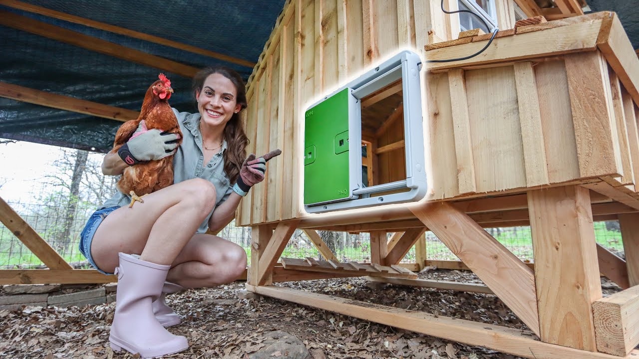 Upgrading Our Backyard Chicken Coop | AUTOMATIC DOOR TOUR!