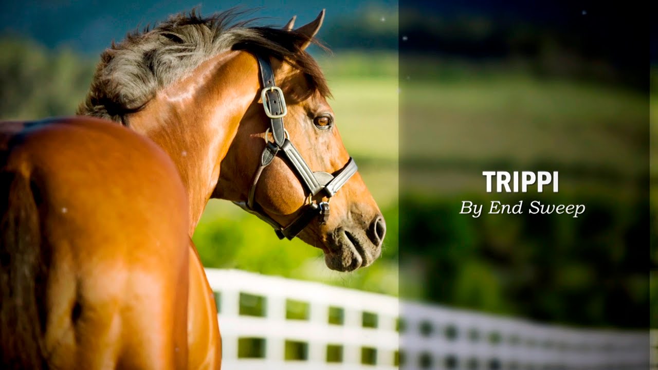 Trippi by End Sweep (2015)