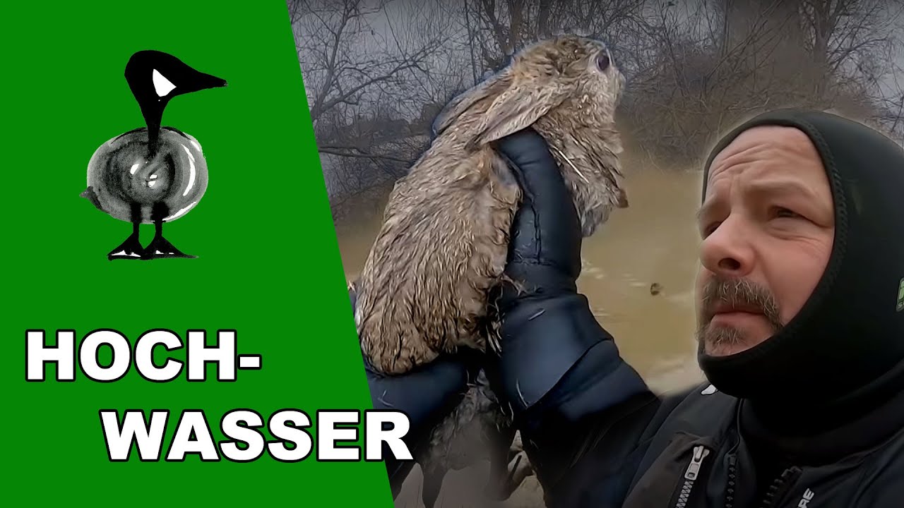 Tierrettung im Hochwasser - Tiernotruf #280