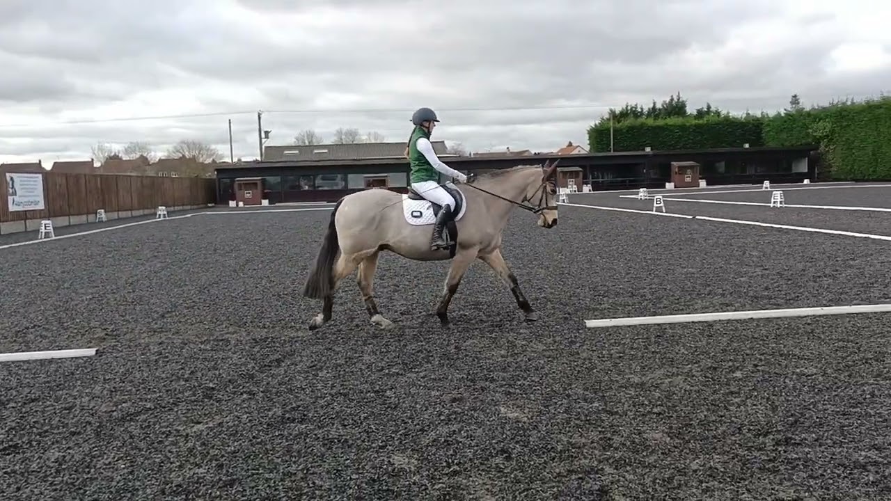 BD Novice 24 Dressage Test