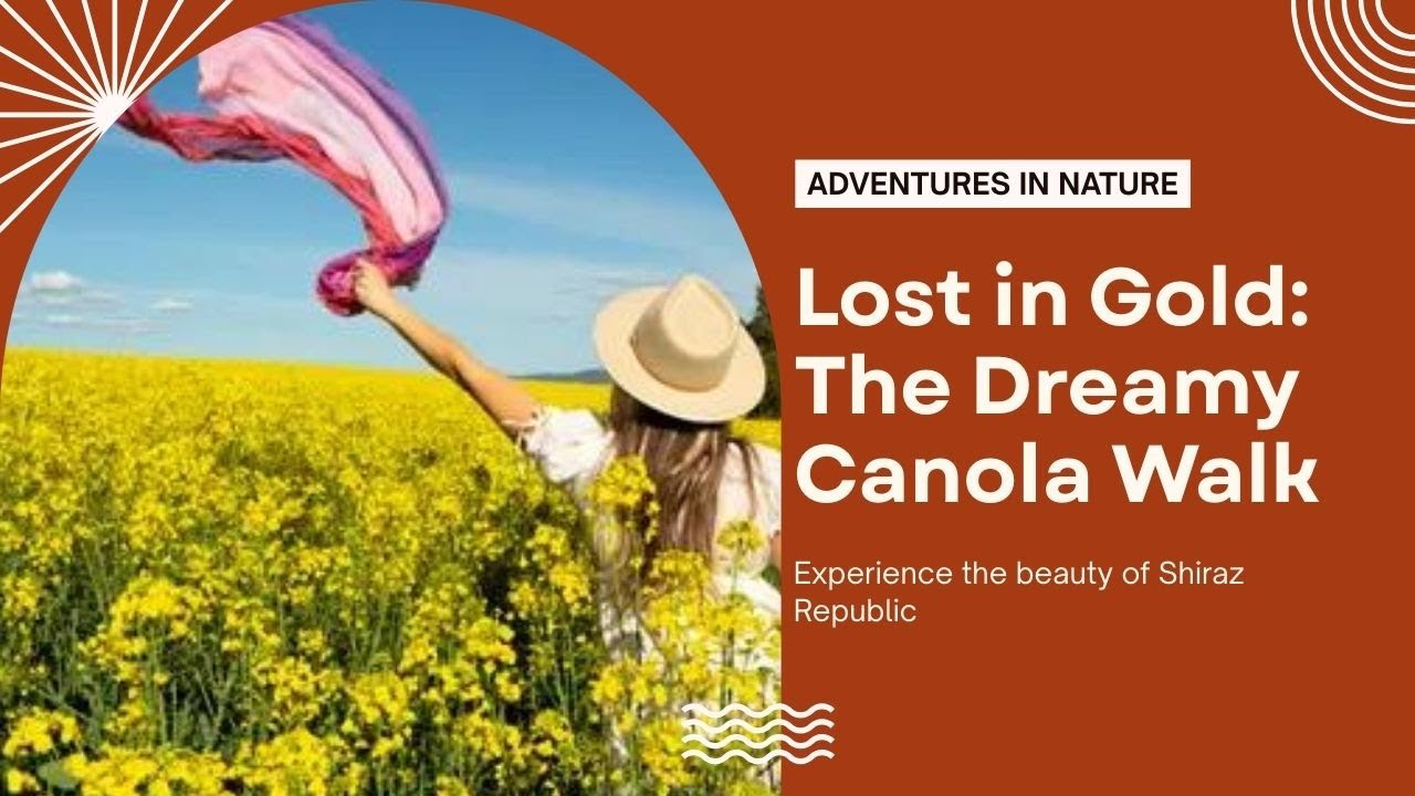 Lost in Gold: The Dreamy Canola Walk of Shiraz Republic  2025 #conallawalk #australia  #vlog