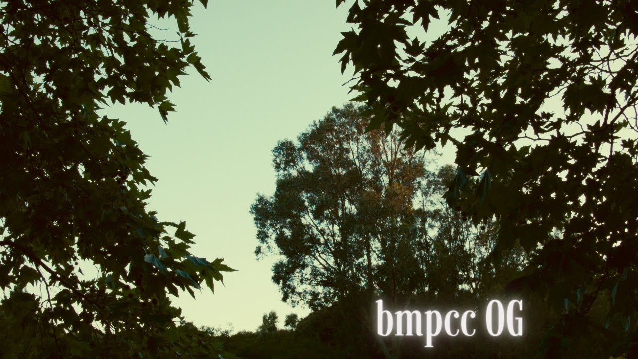 Frames of Life | bmpcc og + lumix 14-45mm test