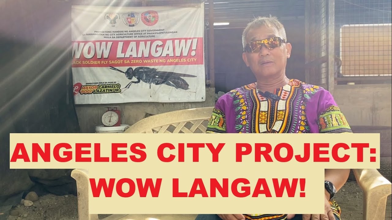 Angeles City Project: Wow Langaw!