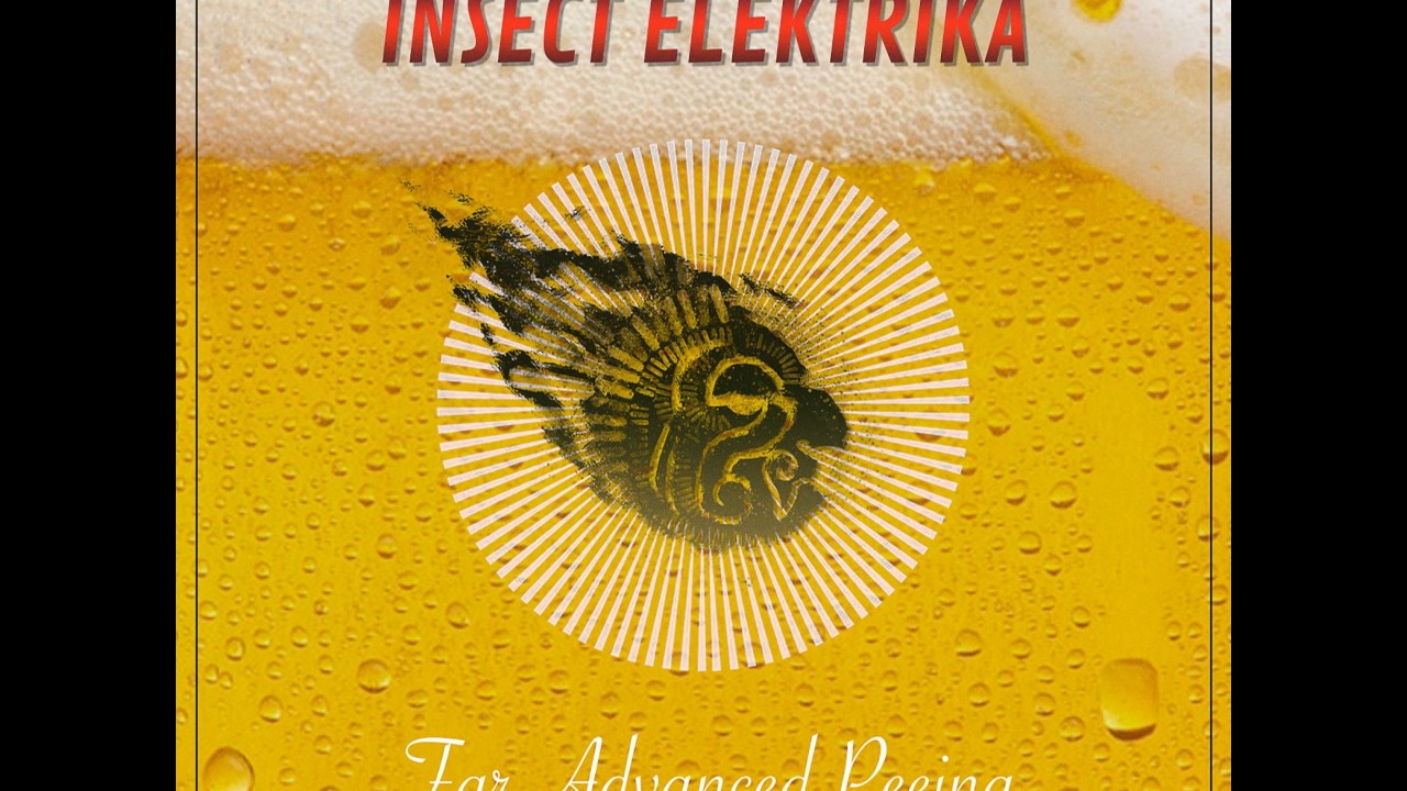 Insect Elektrika: Lada Zkousi (Original Mix)