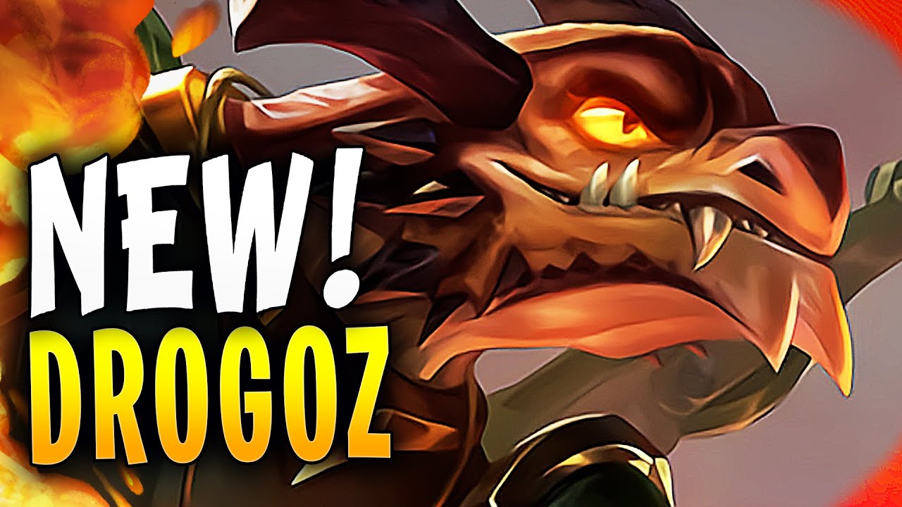 INFINITE FLIGHT DROGOZ IS FANTASTIC - Paladins Gameplay