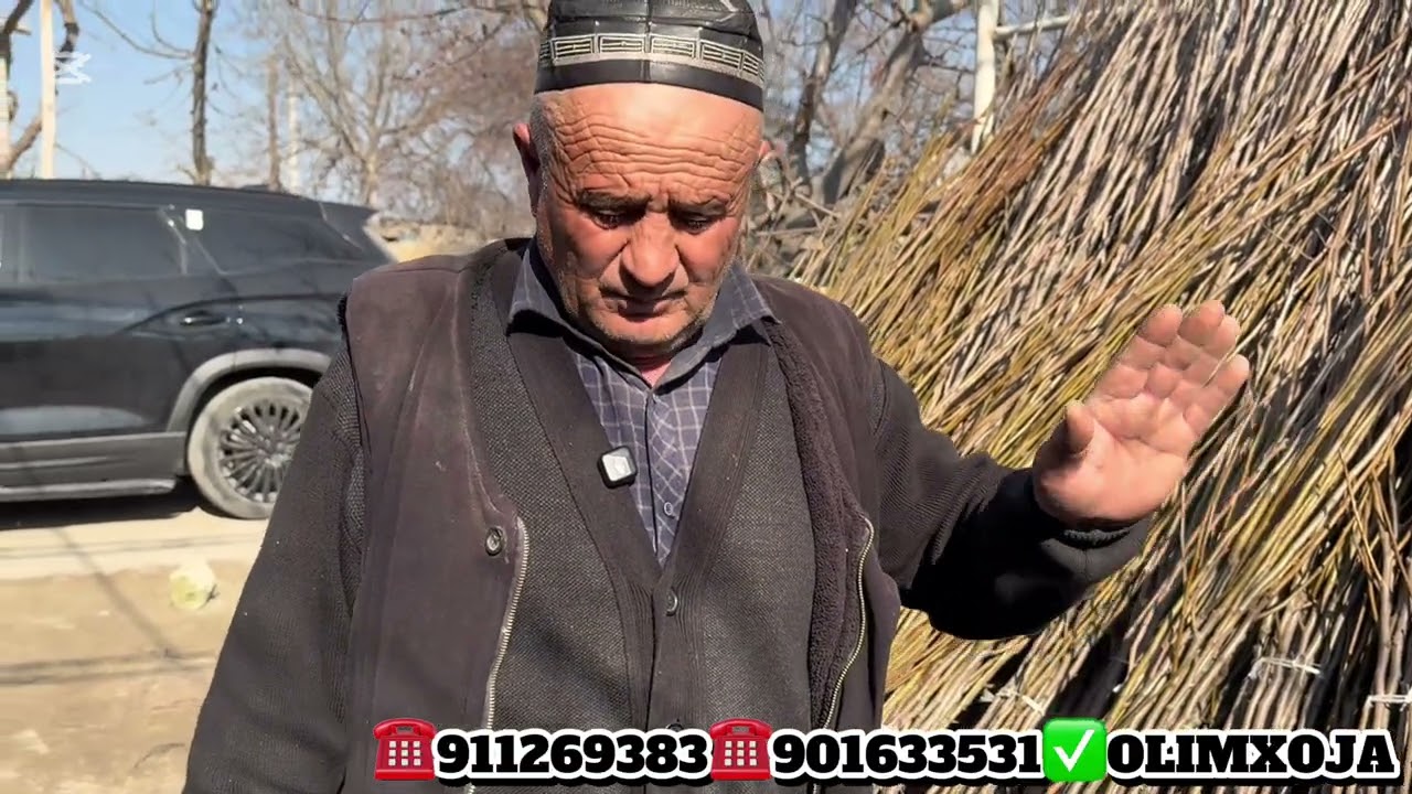 МЕВАЛИ КУЧАТЛАР НАРХЛАРИ 2026