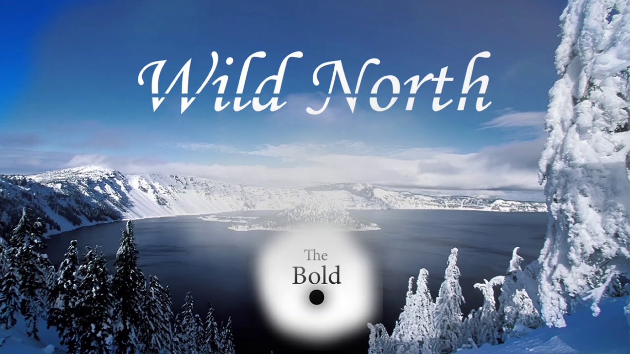 Wild North - The Bold Dot original Celtic/electronic music