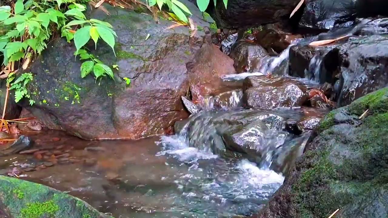 River Sounds to Relax the Nervous System