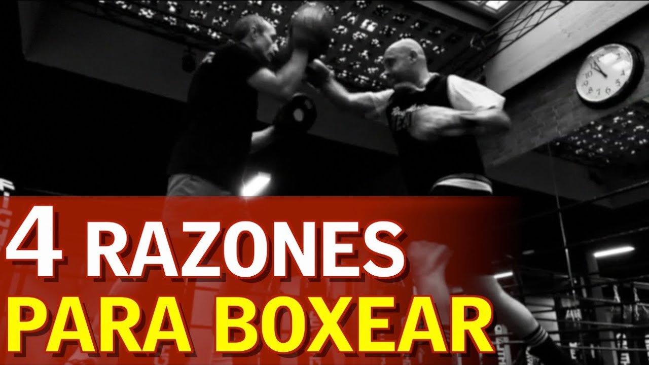 Estas son las 4 razones por las que debes animarte a boxear