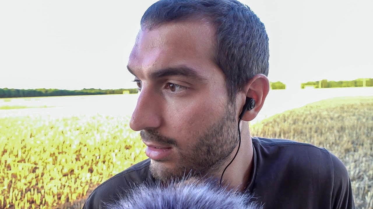 IL Campo di Grano, il Ritorno! (ASMR)