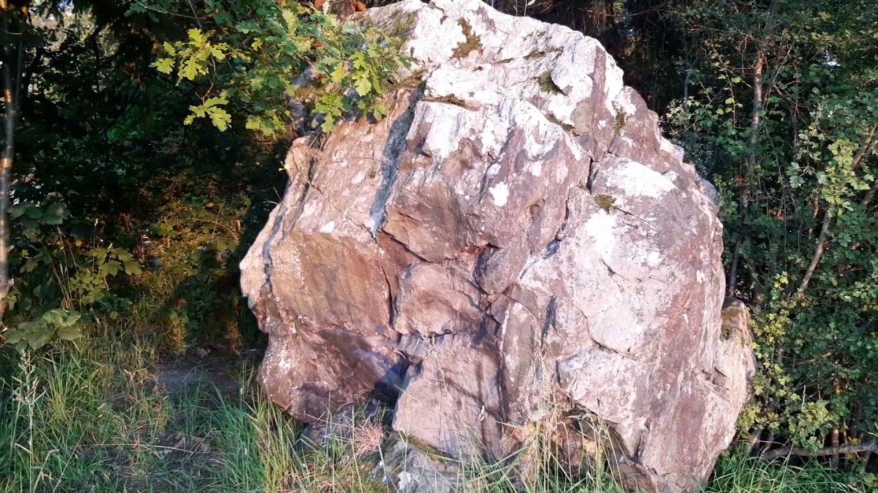 Eiszeit Starnberger See (Hoher Stein Percha)