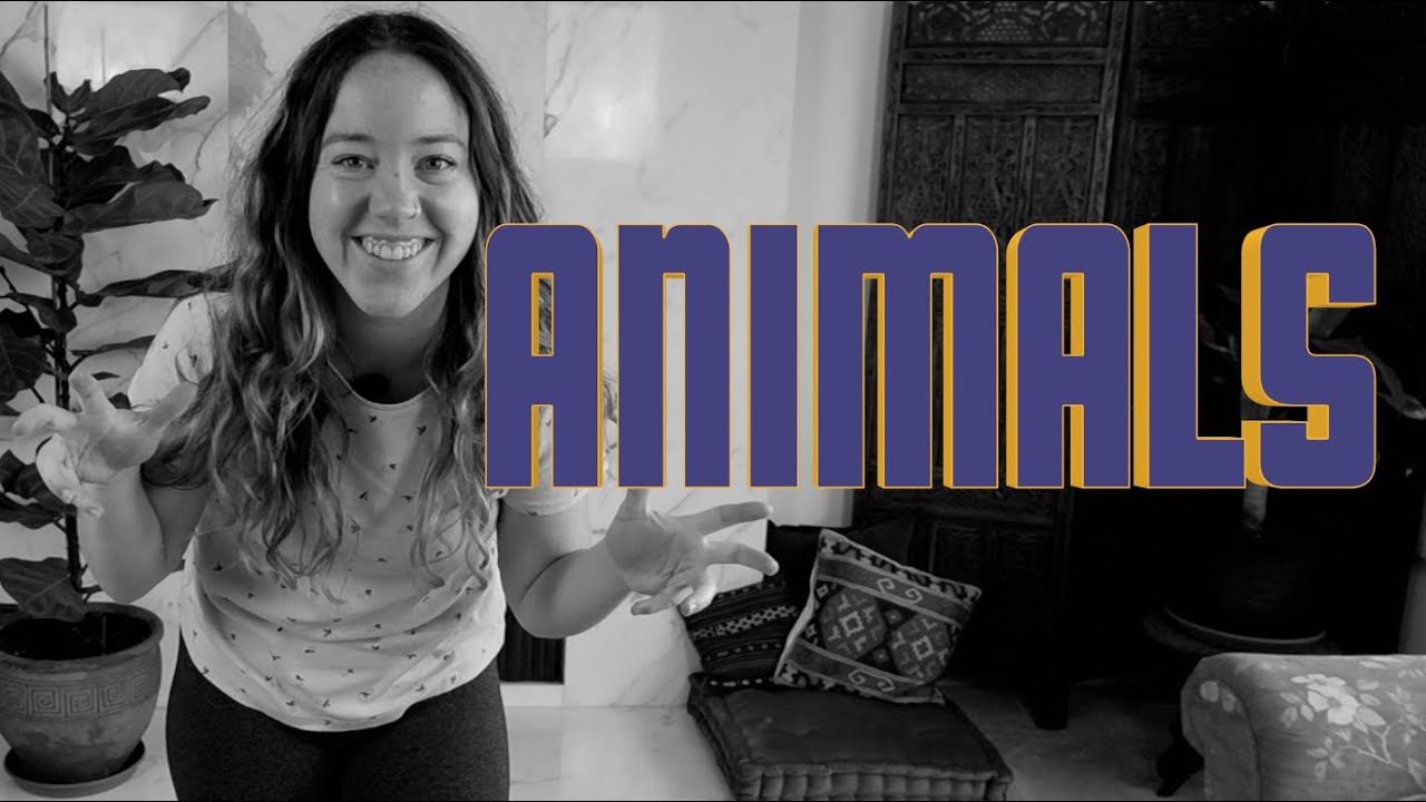 ANIMALS! Movement Theater Game - Play along!!