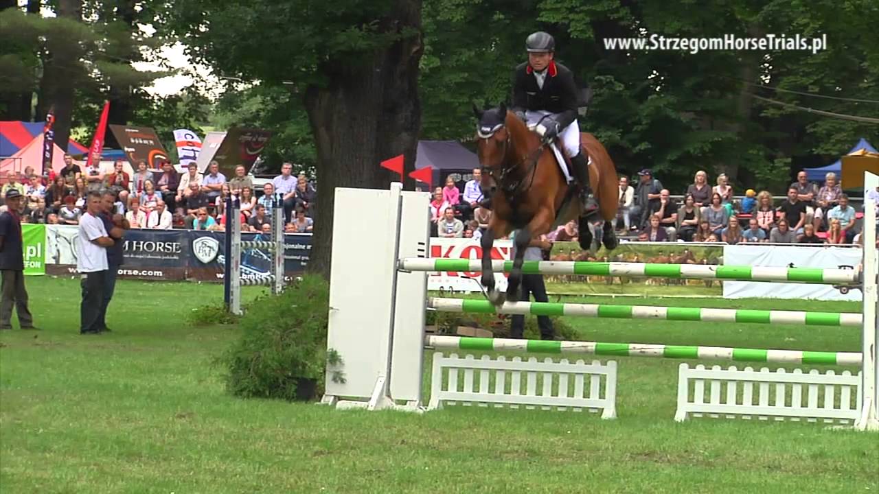 SHT2014 -  Michael JUNG - La Biosthetique-Sam FBW - Show Jumping