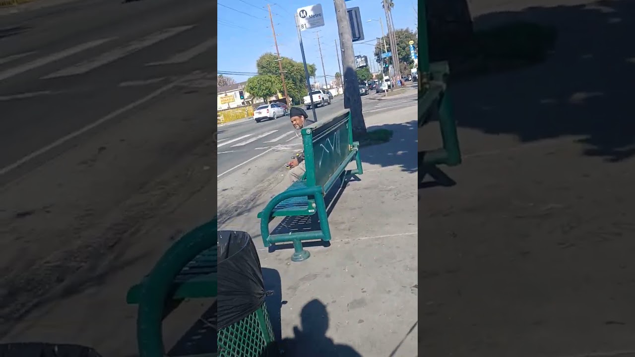 Walking through South Central Los Angeles 01/30/26 (Mary Jane & Miss Dinky)