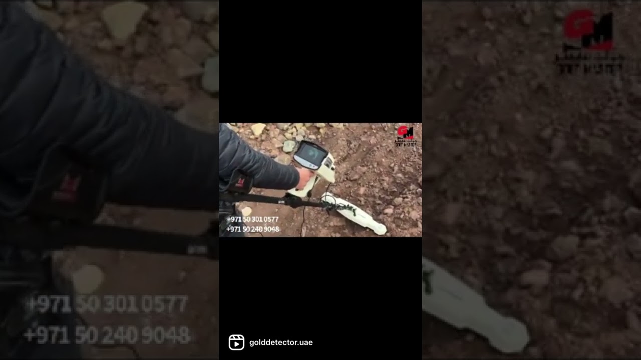 found a huge treasure by used phoenix metal detector device