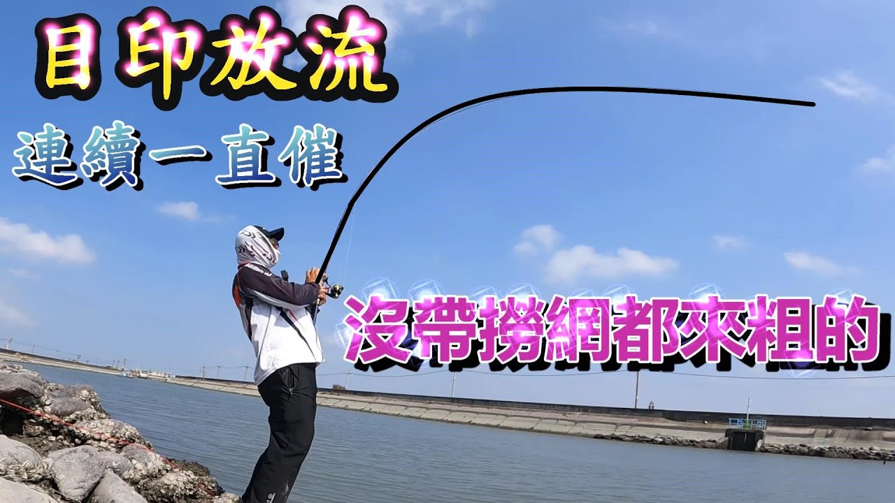 雲林出海口排水溝大紅好多 目印釣組輕鬆釣 短短三小時一直咬 沒帶撈網都來大的