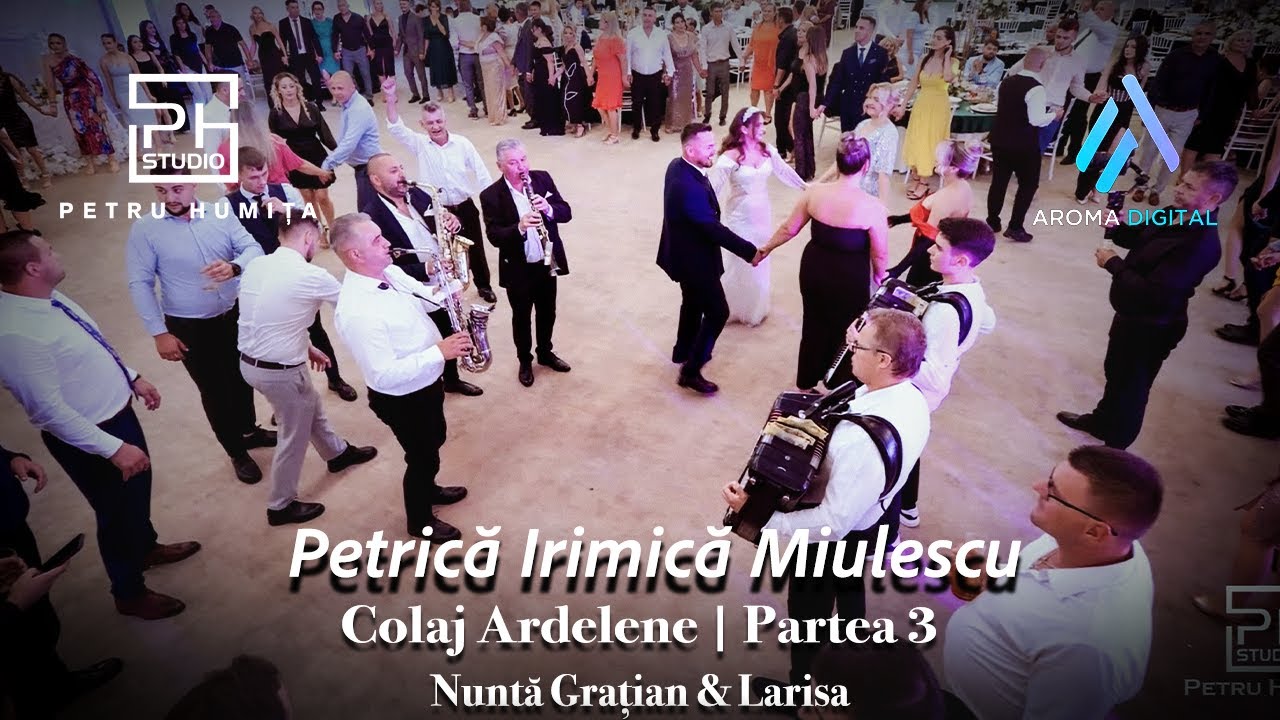 Petrica Miulescu Irimica - Colaje Ardelene | Partea 3 | Nunta Gratian & Larisa