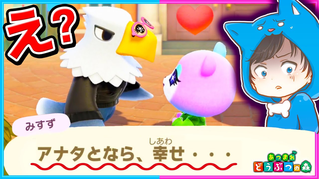 キノコレシピ集めてたら 何この展開…え？えええええ【みすず/アポロ】【あつまれどうぶつの森/AnimalCrossing】