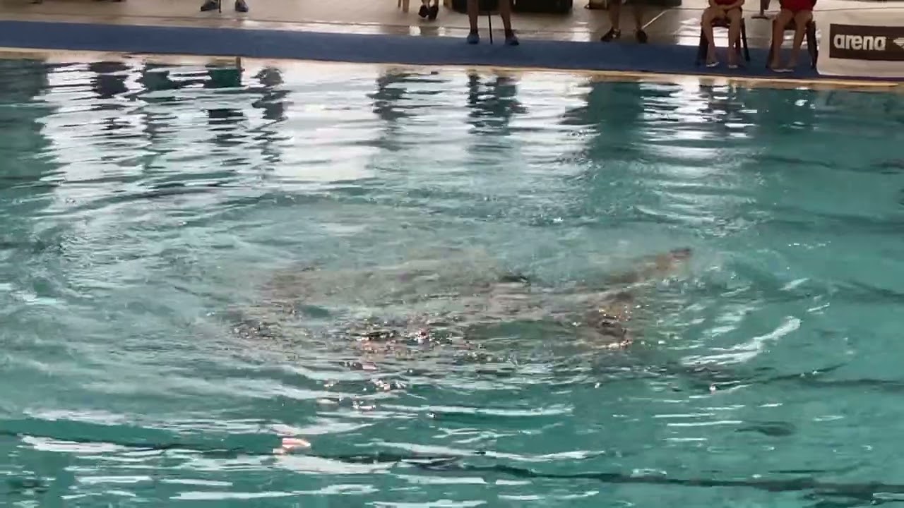 Nuoto Sincronizzato - Assoluto Savona 2022 - Combo Busto Nuoto