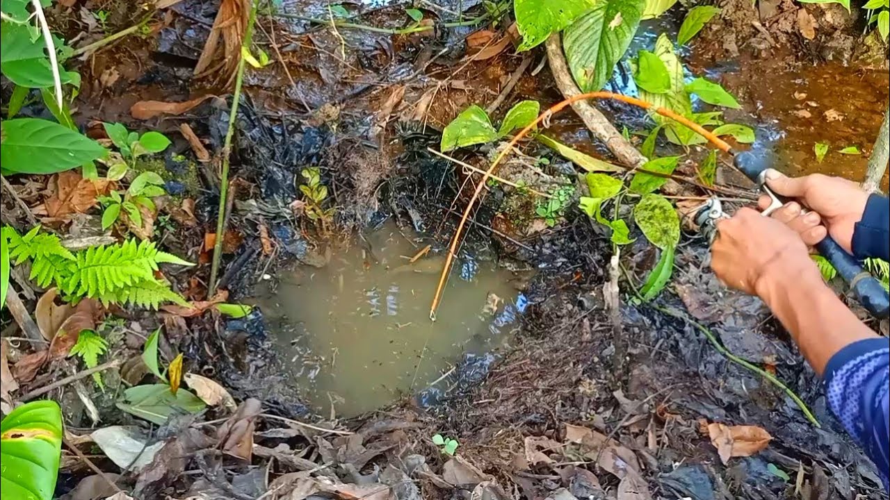 BIKIN GREGET!!! PEMANCING IKAN LEMBAT JIKA NEMU LUBANG KAYAK GINI