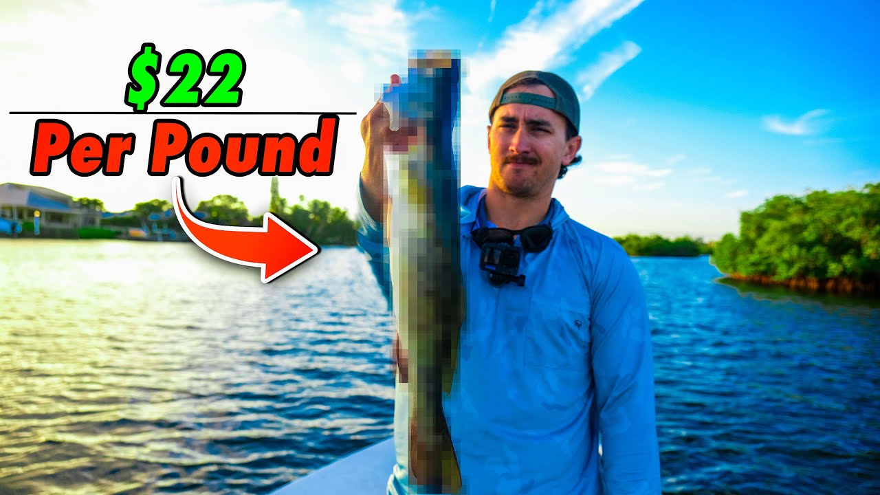 Catching Expensive Fish to Feed a Family