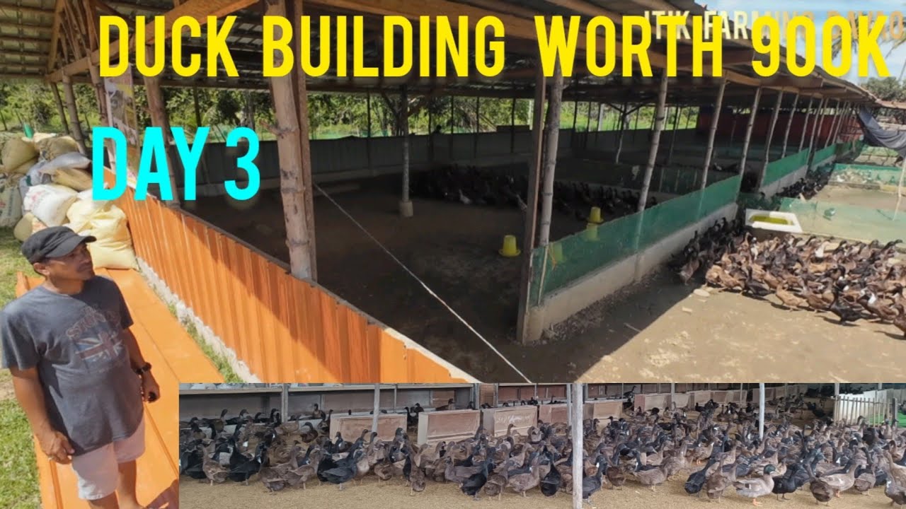 DUCK BUILDING WORTH 900K NG RECARDO'S FARM @ MISAMIS OCCIDENTAL,MALAKI ANG INVESTMENT? MAY ERROR BA?