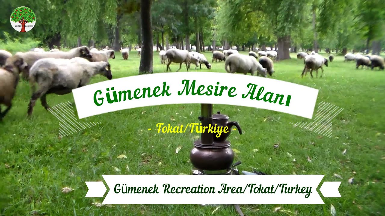 Gümenek Mesire Alanı / Tokat - Gümenek Recreation Area / Tokat -