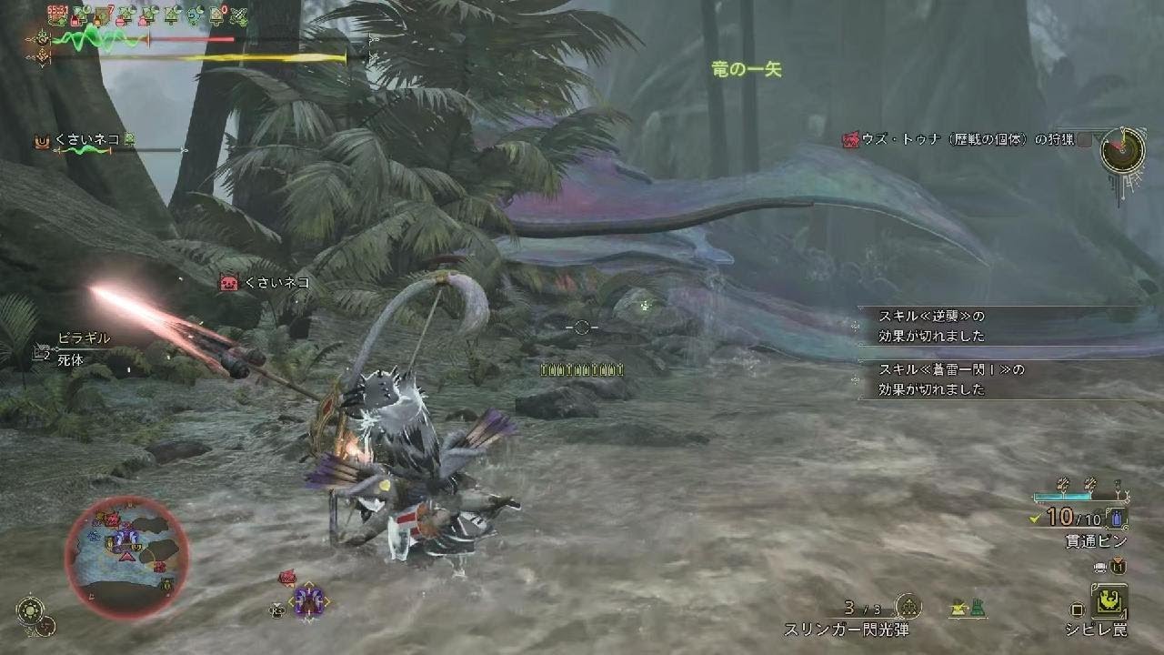 Monster Hunter Wilds　被弾王から脱出したい!!