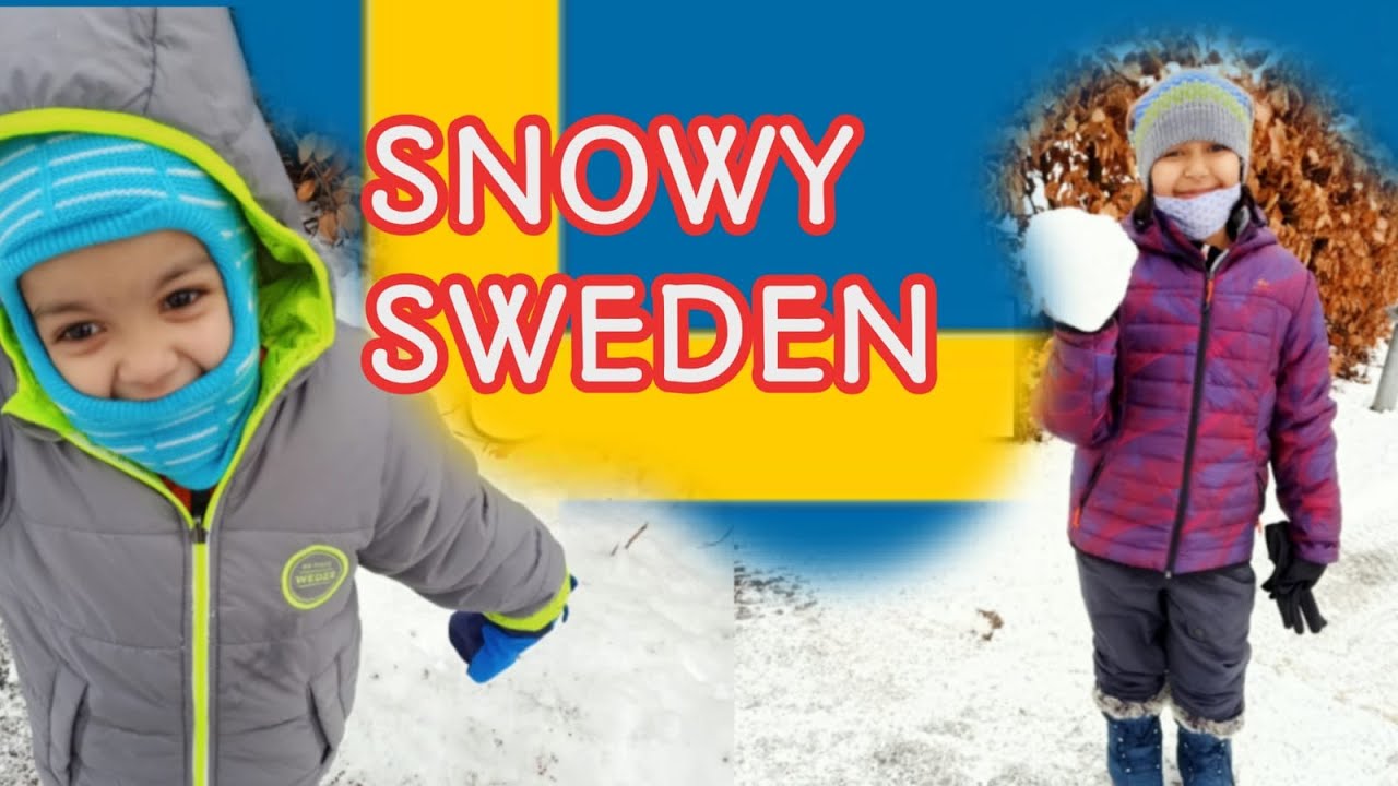 Snowy Sweden - Peaceful Snowing at Wee Hours ( Winter in Sweden) Fizzy FamBam Silent Watcher 🙃