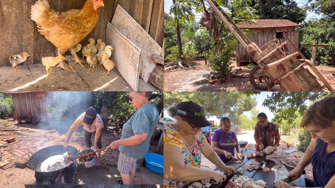 Vivendo com a vizinhança bons momentos que vão ficar sempre na memória  ￼de dias felizes…