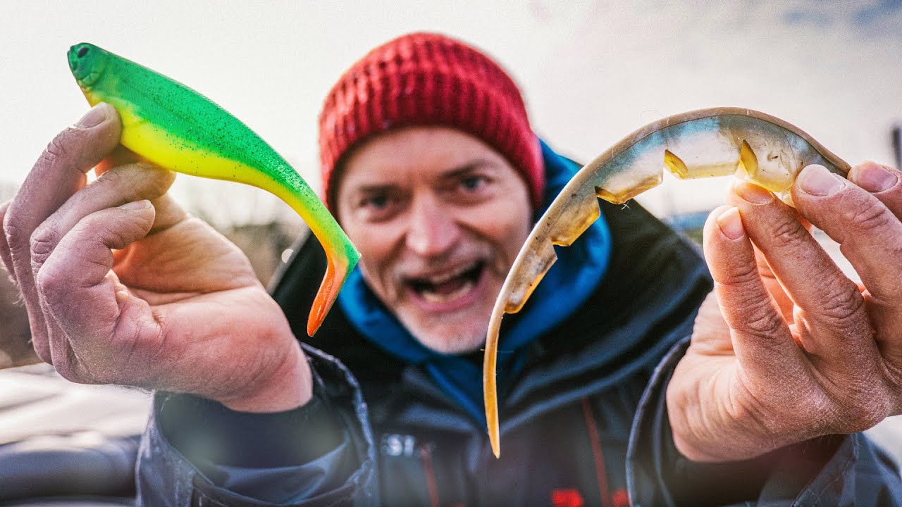 Gummifische tunen - Diese 5 Tricks musst du kennen!