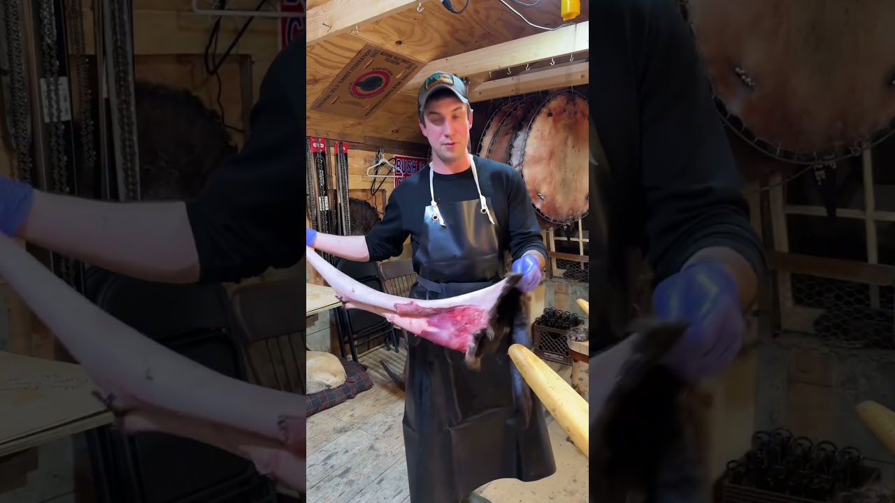 Fur Shed Tips for River Otters