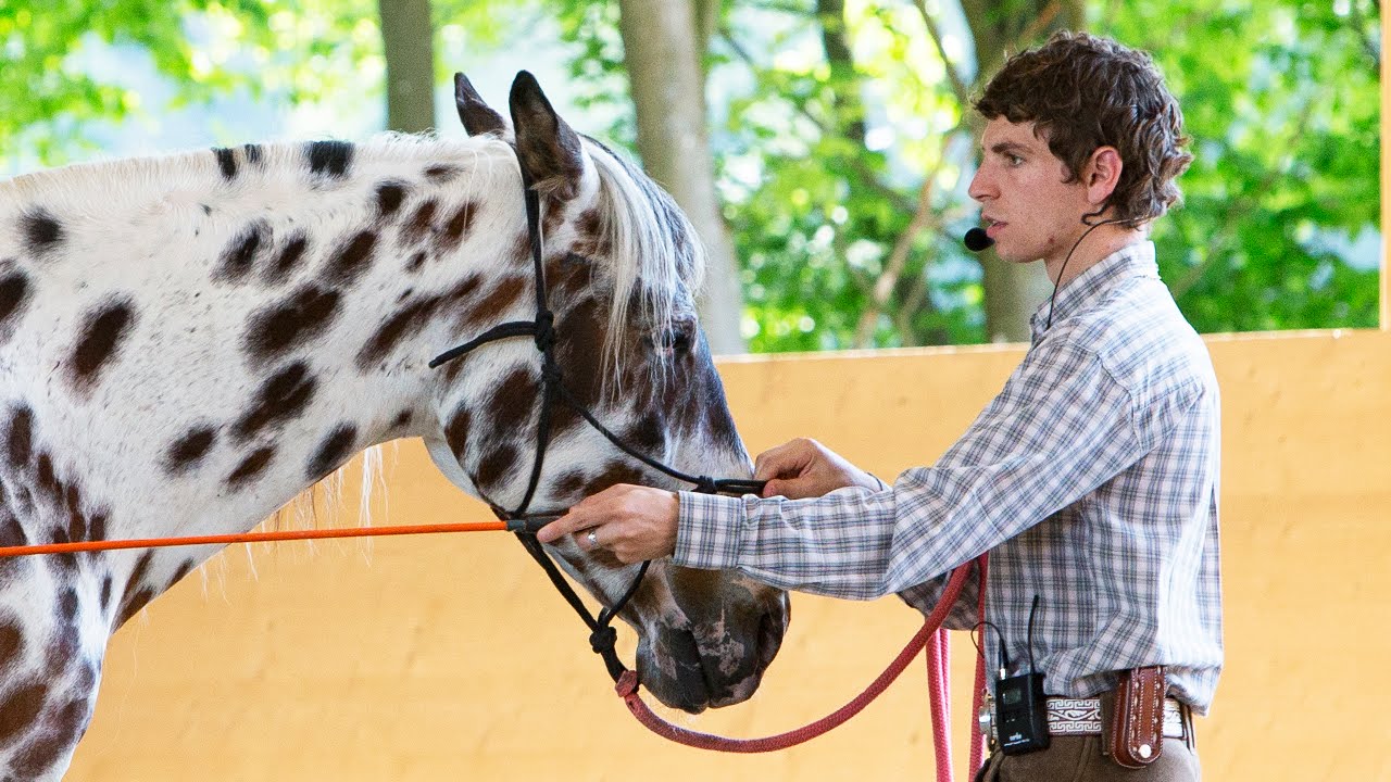 Horsemanship - Arien Aguilar erklärt seine Arbeitweise
