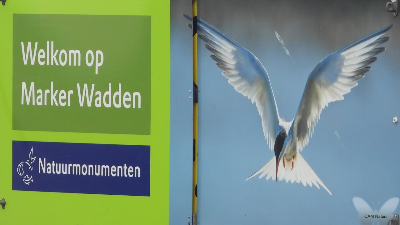 Marker Wadden