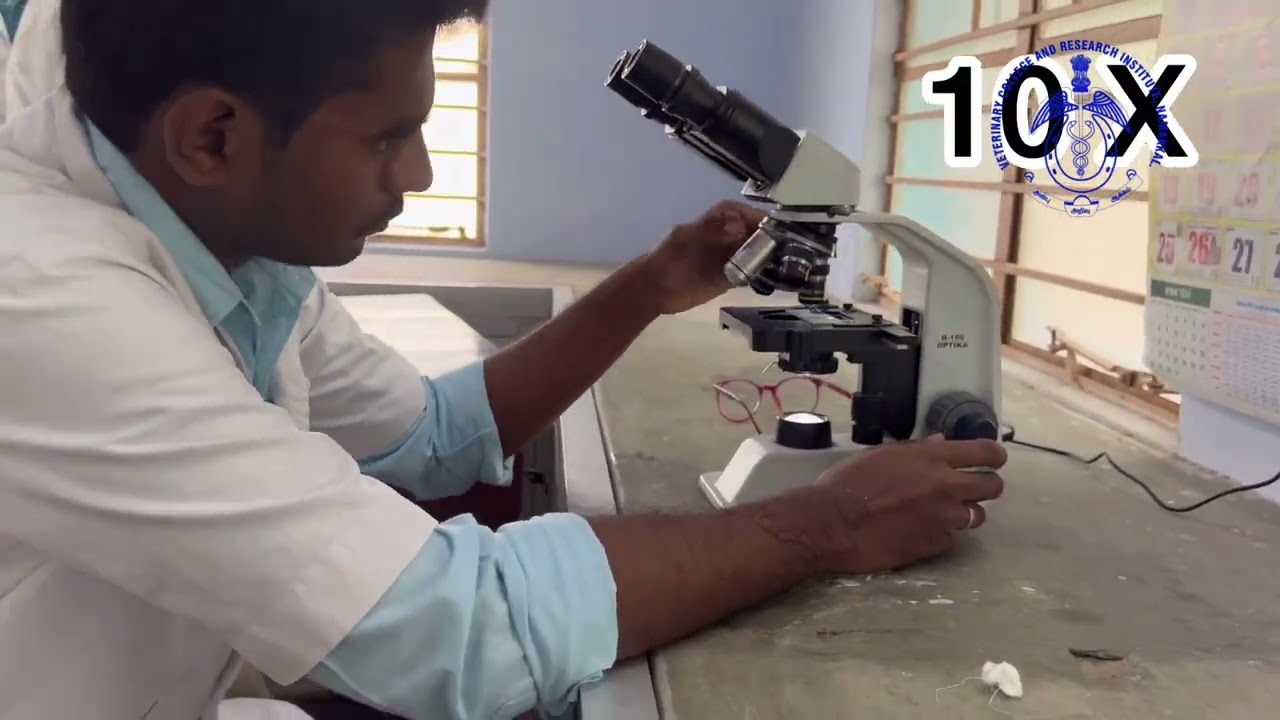 Rumen Liquor collection and Enumeration of Protozoa 