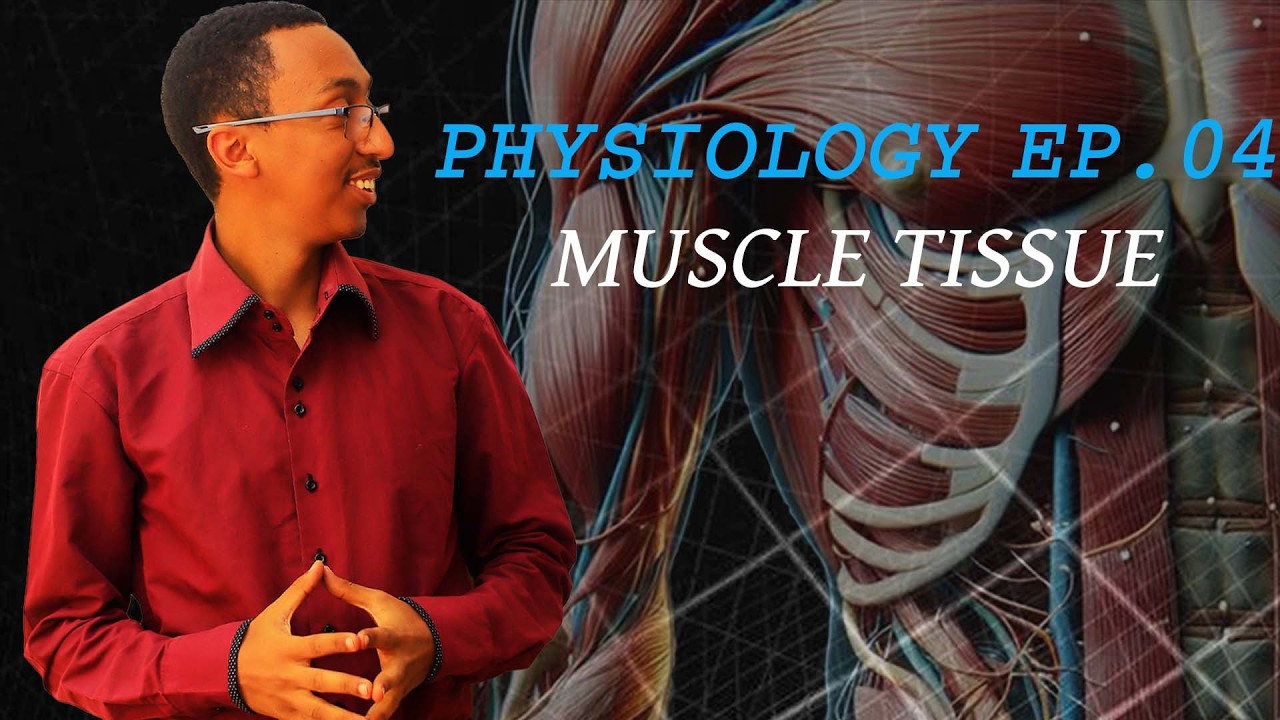 Physiology Ep 04: Muscle Tissue