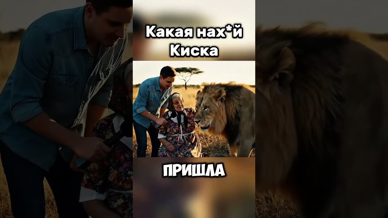 #киска #кроссовки #обзорывб