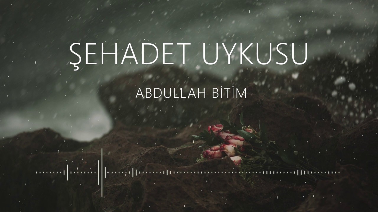 Şehadet Uykusu - Abdullah Bitim (ezgi)