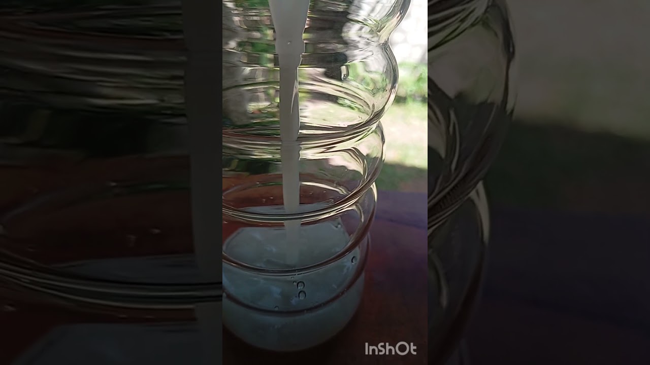 Custard Apple healthy juice 🥤