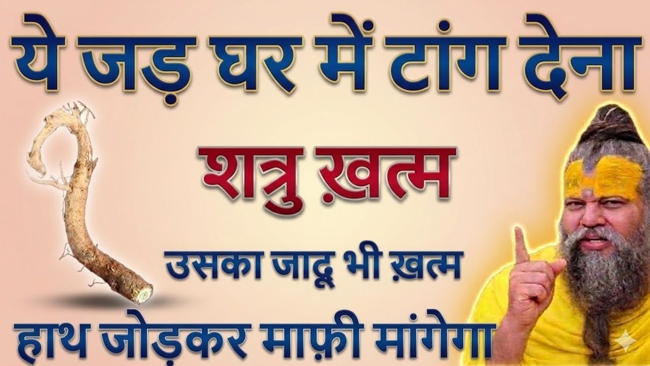 ये जड़ घर में टांग देना गरीबी ना मिट जाये तो कहना गारंटी है ! Premanand Ji Maharaj #premanandji