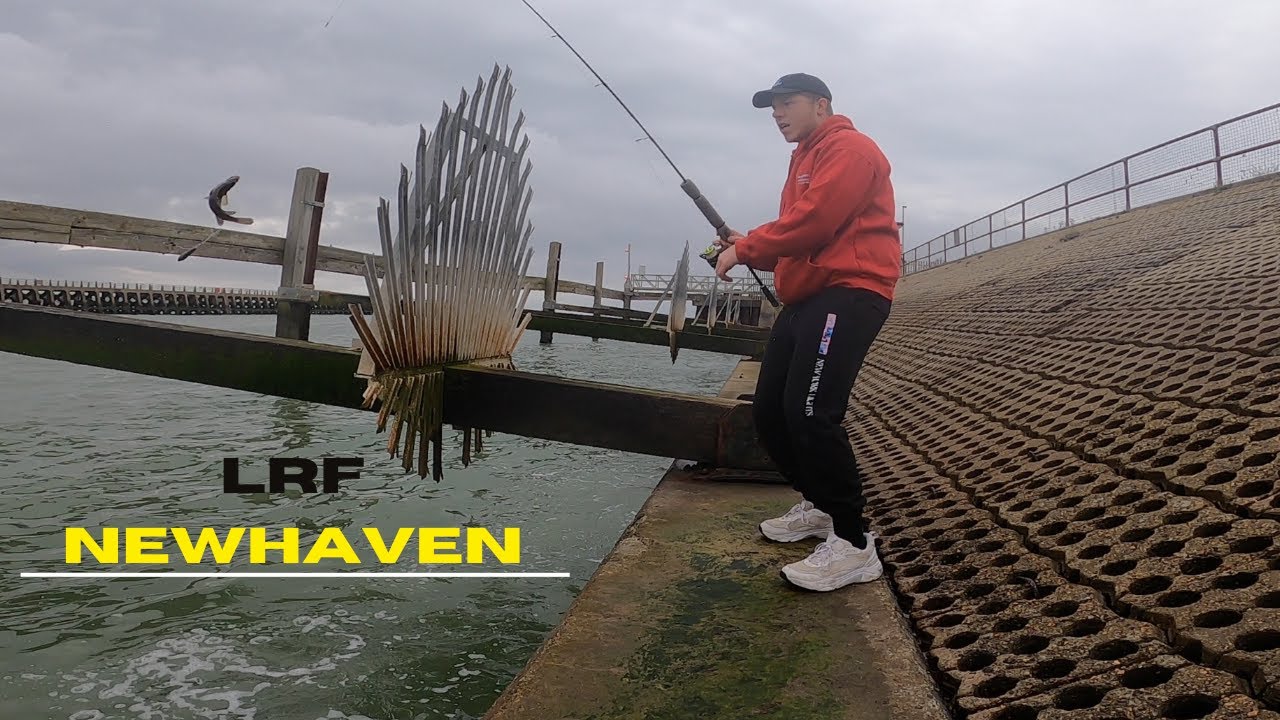 Sea Fishing UK - LRF Fishing At Newhaven Harbour Catching What We Can In These Terrible Winds