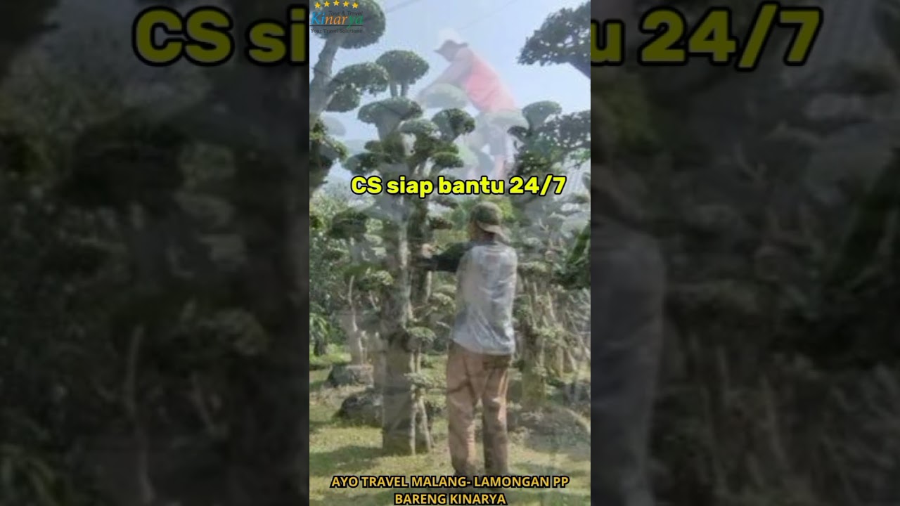 Travel Malang Lamongan Desa Wisata