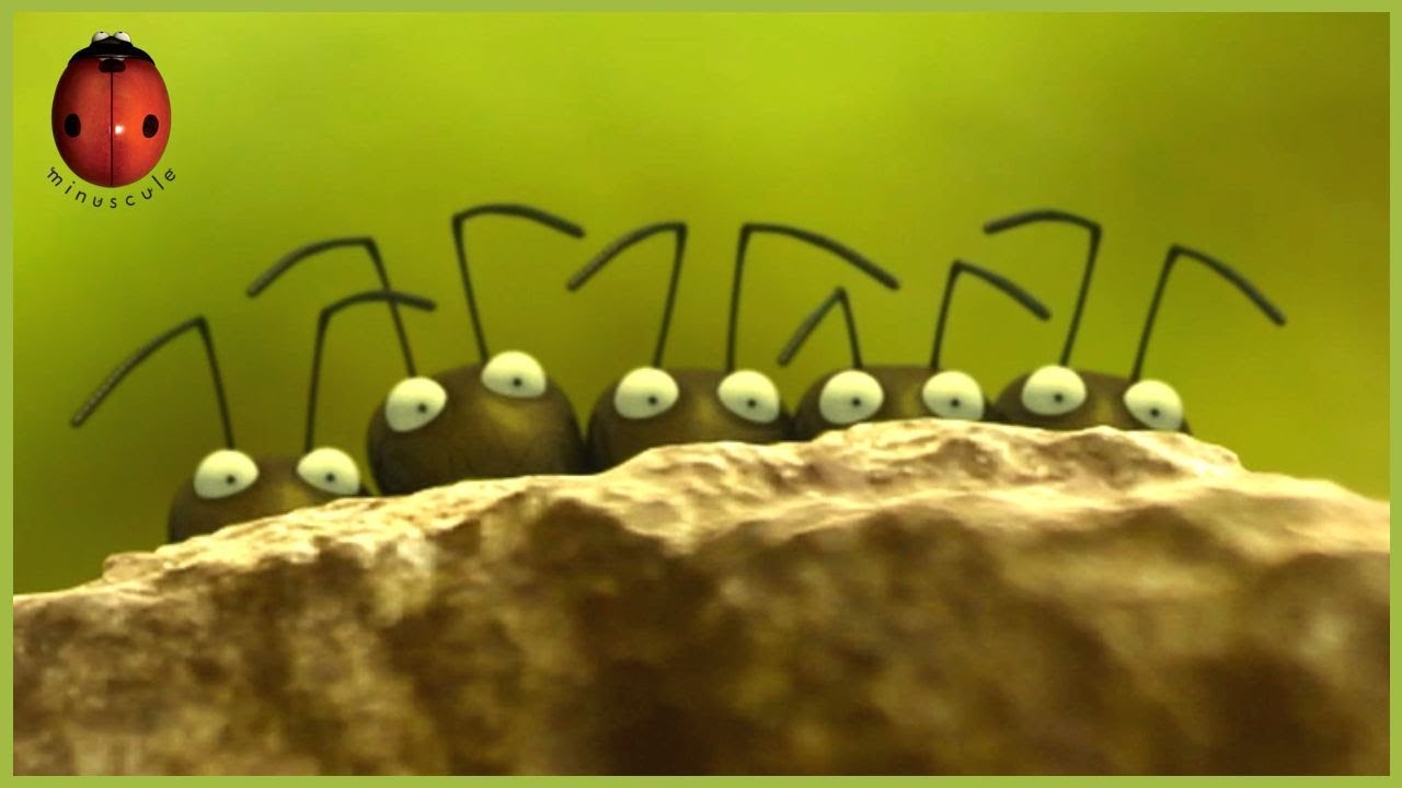 Rascals! | Minuscule 🍃 15' Compilation
