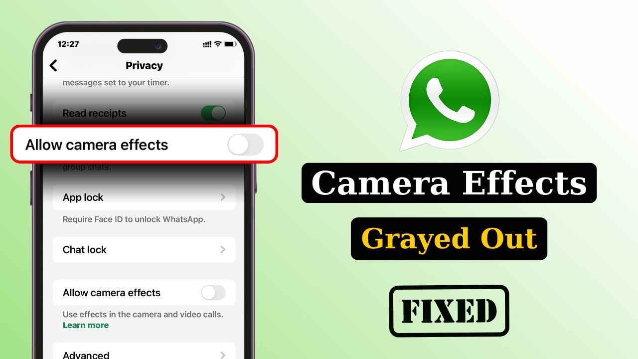 Fix WhatsApp Camera Effects Not Turning On / Grayed Out on iPhone