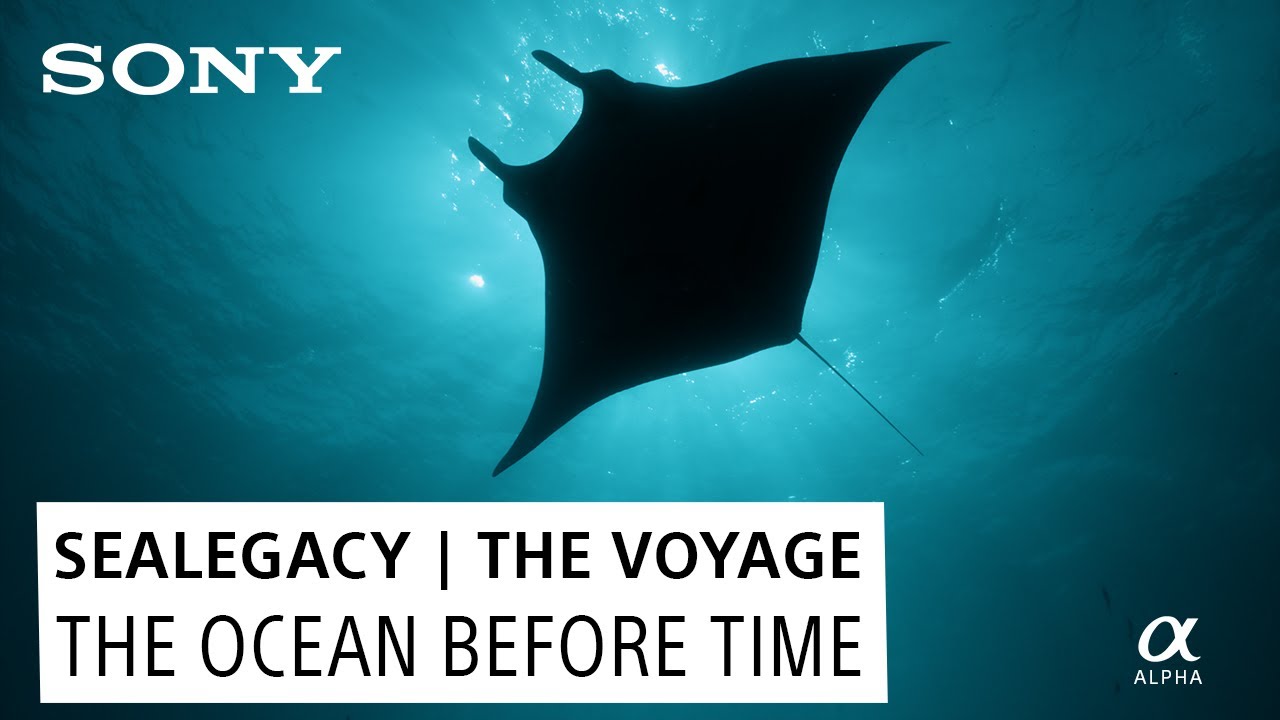 The Ocean Before Time: SeaLegacy | The Voyage